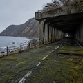 海沿いの廃道 2枚目