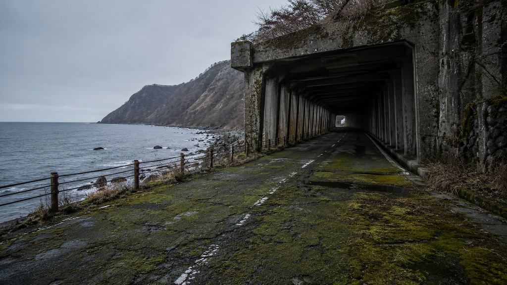 海沿いの廃道