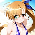 スリングショットヴィヴィオ 3枚目
