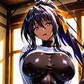 姫島朱乃18（ハイスクールD×D） 10枚目