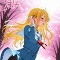 桜吹雪(2) 2枚目