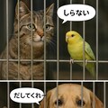 いぬとねこといんこ12 4枚目