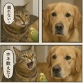 いぬとねこといんこ12 10枚目