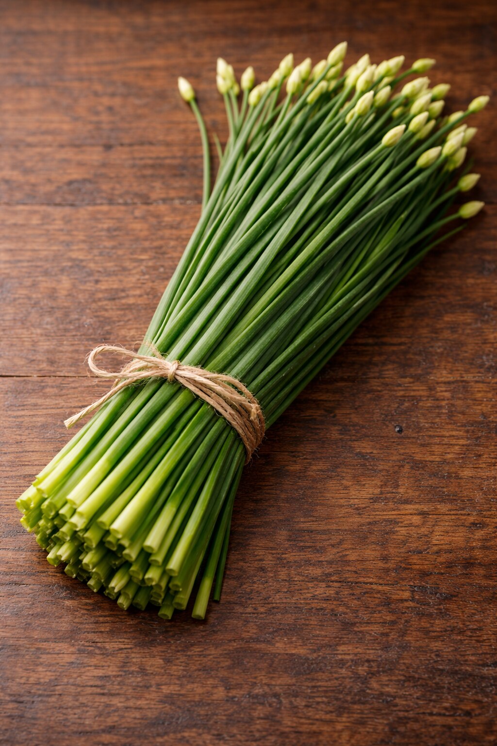 ニラ | の人気AIイラスト・グラビア