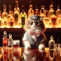 バーテンダーの猫 3枚目