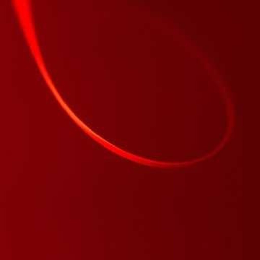 たまご？ ガラクタ？ 他