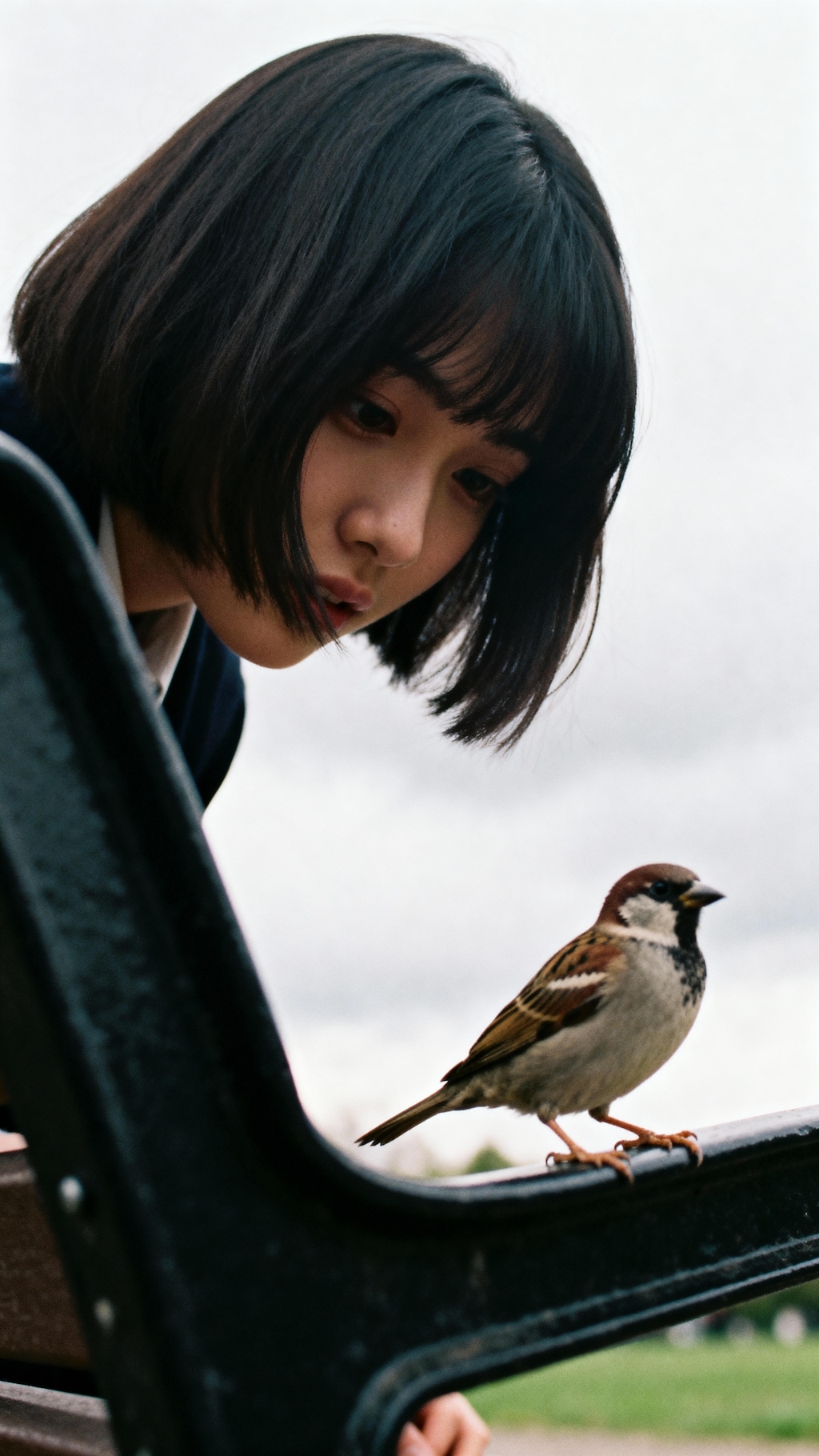 A Moment with the Sparrow