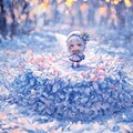 雪の妖精の日常 2枚目