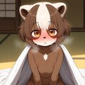 タヌキとアライグマの見分け方 3枚目