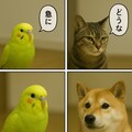 いぬとねこといんこ24 7枚目