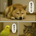 いぬとねこといんこ24 11枚目