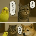 いぬとねこといんこ24 10枚目