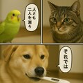 いぬとねこといんこ24 2枚目