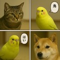 いぬとねこといんこ24 12枚目