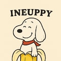 イヌーピー 2枚目