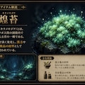 金欠と採取クエスト -悩めるモリビトの魔術人形研究所（ゴーレムレコード）- 2枚目