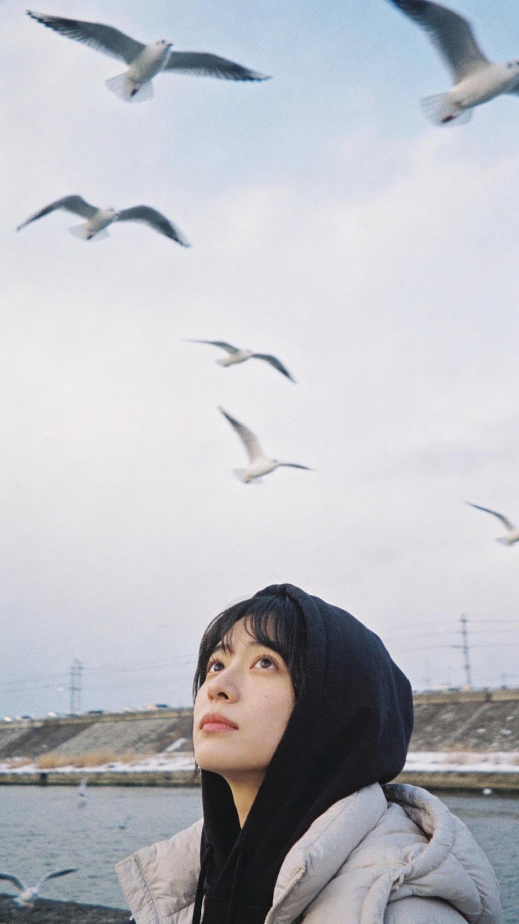 Eternal Peak, Fleeting Thought