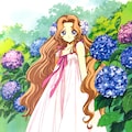 紫陽花とナナリー 5枚目