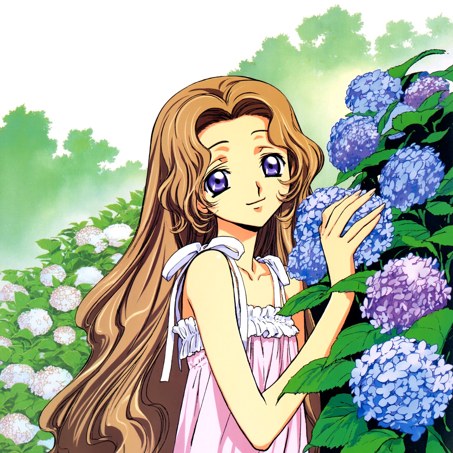 紫陽花とナナリー