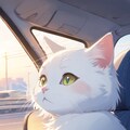 車の窓から白猫 3枚目