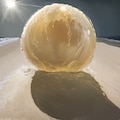 異星人 2枚目
