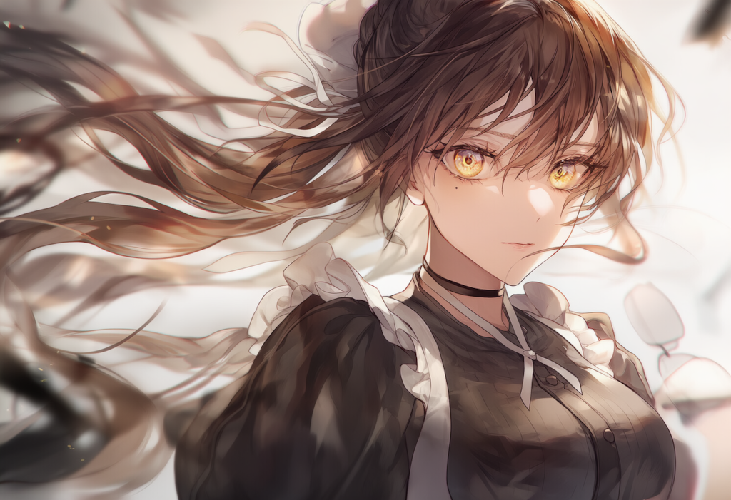 うちのメイドサラさん