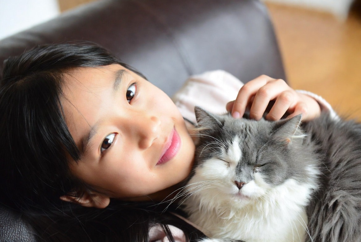 猫を愛でる