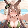 サトノダイヤモンド 3枚目