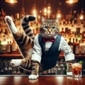 バーテンダーの猫 5枚目