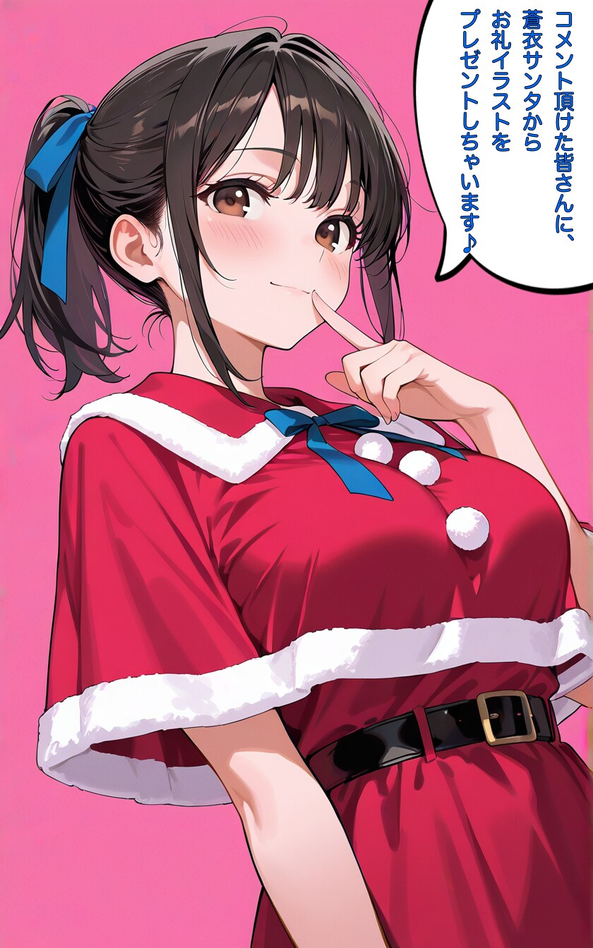 蒼衣サンタからのお知らせ