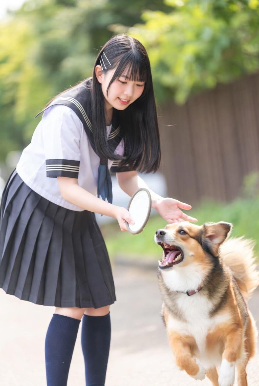 フリスビー的な