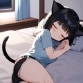 8月の通りすがりの迷子猫③ 12枚目