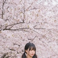 今日もお花見日和 4枚目