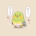 ぱんつインコ 8枚目