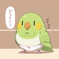 ぱんつインコ 5枚目