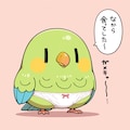 ぱんつインコ 4枚目