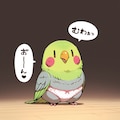 ぱんつインコ 11枚目