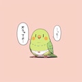 ぱんつインコ 2枚目