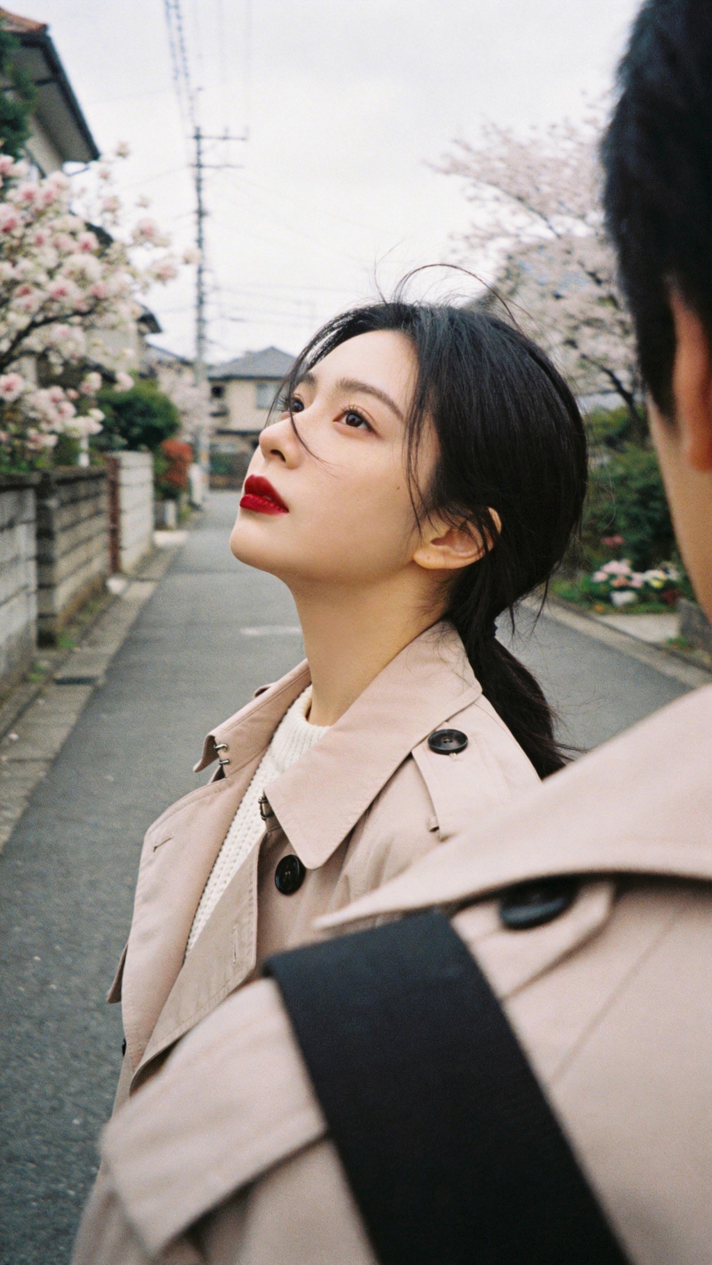 Crimson Petals at the Window