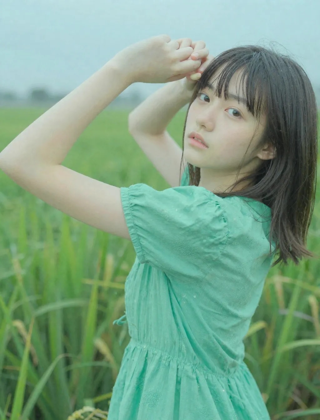 はるのひととき