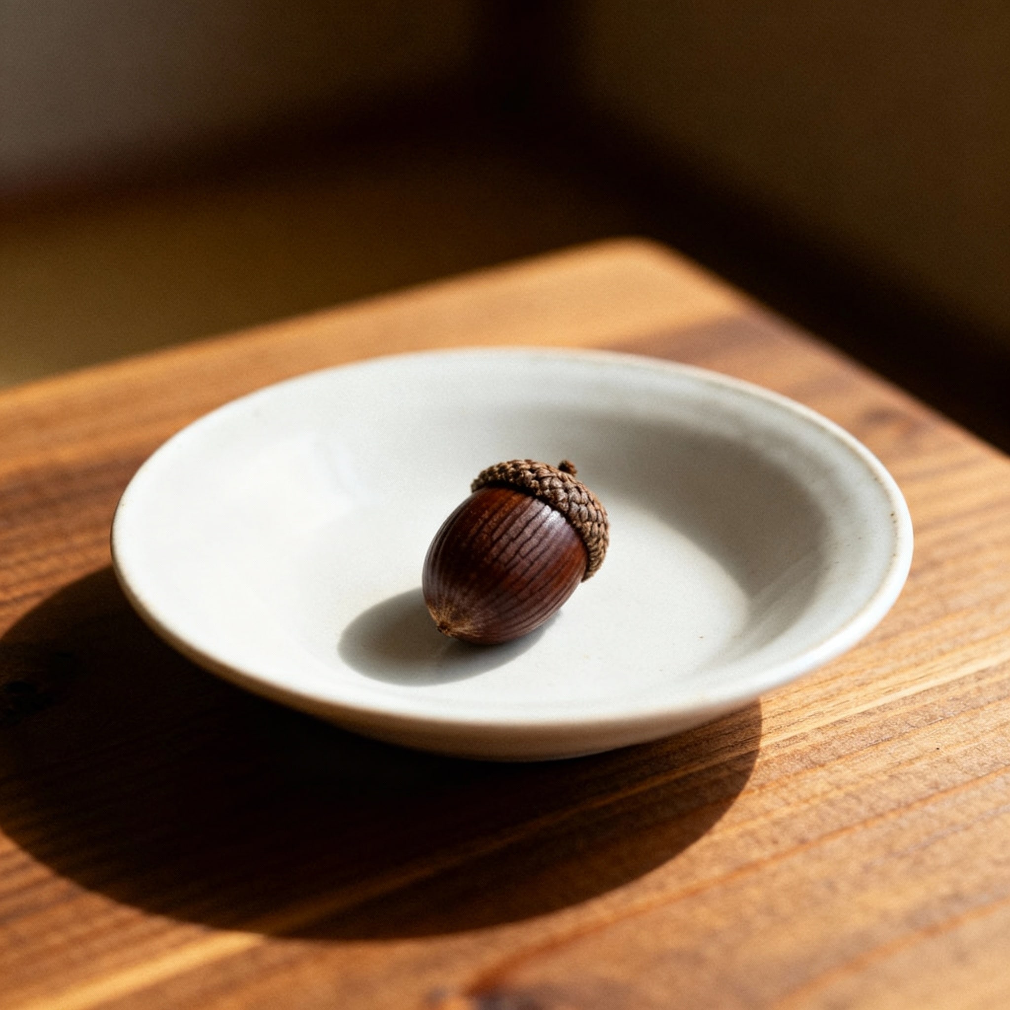 50年後のどんぐり | の人気AIイラスト・グラビア