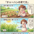チャーハンの栽培方法 9枚目