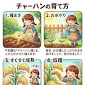 チャーハンの栽培方法 6枚目