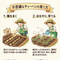 チャーハンの栽培方法 4枚目
