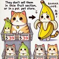 [空欄回答]（バナにゃん）は（果物屋やペットショップ）に（売って）無いという 2枚目