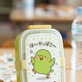 喋るインコのランチボックス 5枚目