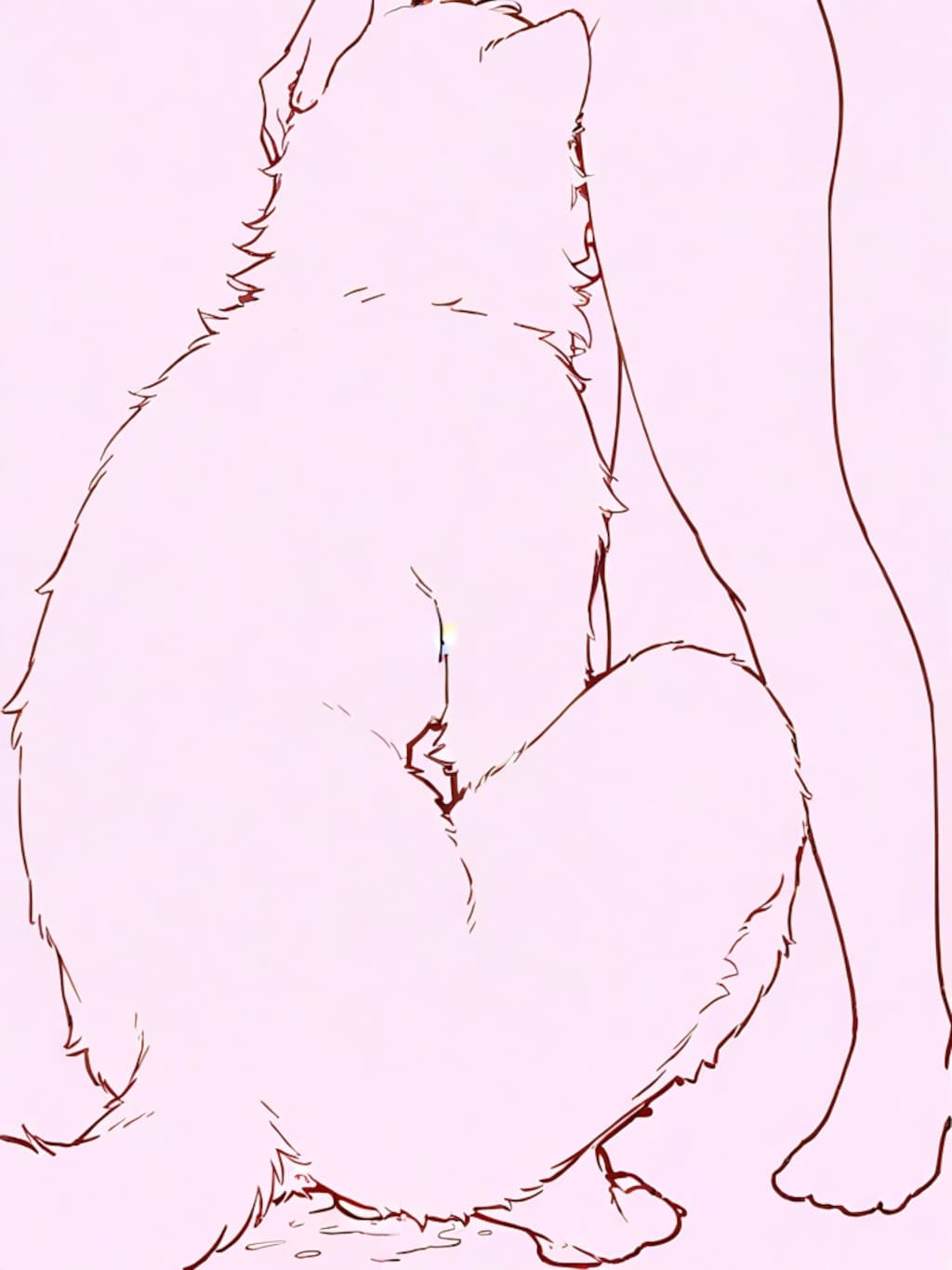 犬か何か