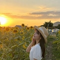 Walking Through Sunflowers 5枚目