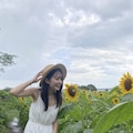 Walking Through Sunflowers 4枚目