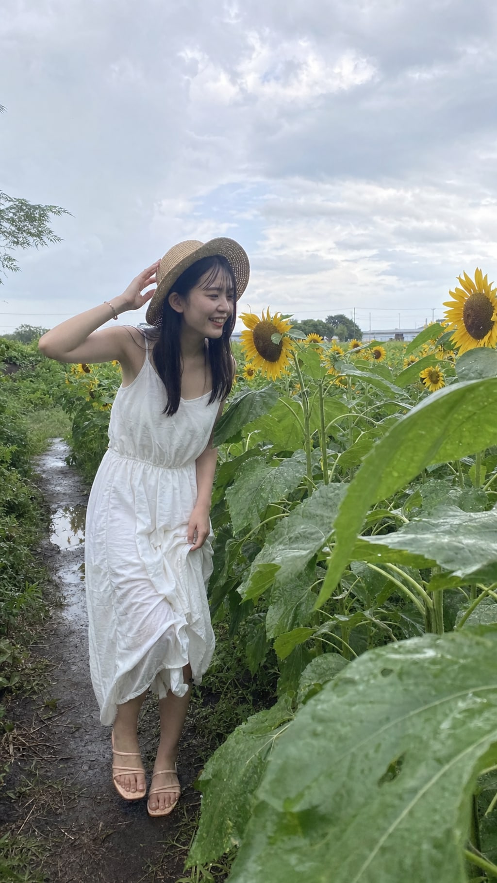 Walking Through Sunflowers